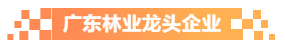 广东林业龙头企业